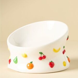 Anthropologie 3D Ceramic Fruit-Patterned Pet Bowl - sold out